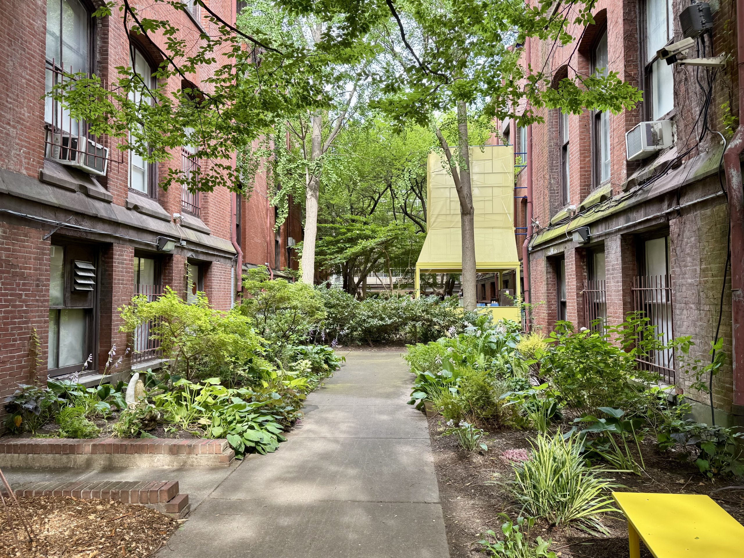 Outdoor Garden Pop-Up Frankie's Summer Club Brings The Heat With