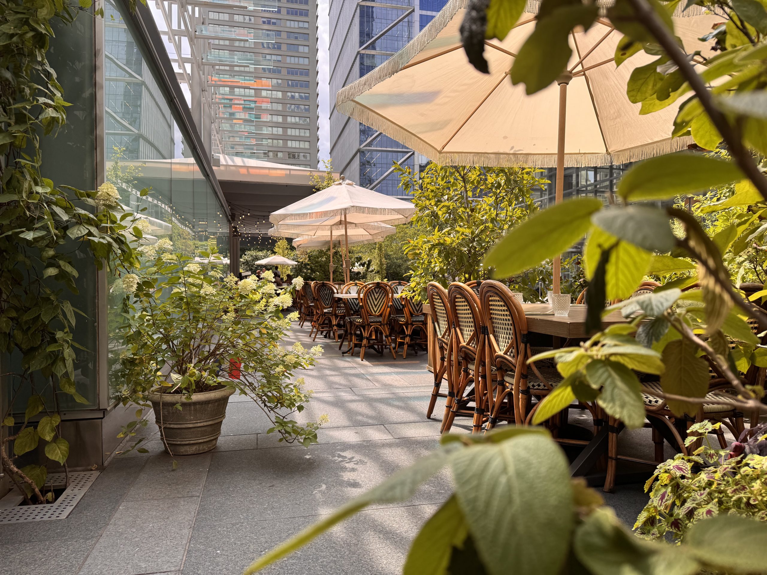 An Urban Oasis: Café Click's Parisian Romance in Rittenhouse's ...