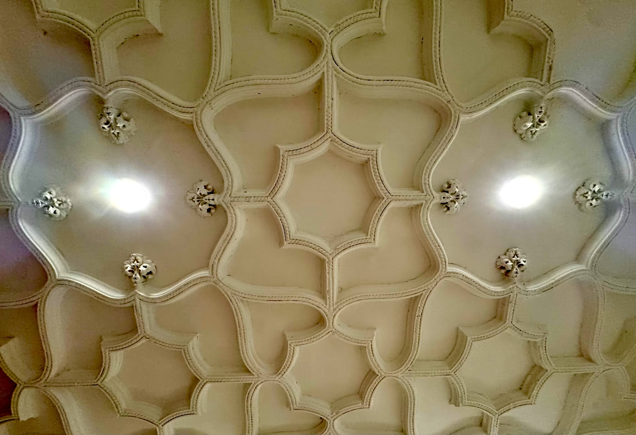 elon-dunbar-house-ornate-plaster-ceiling